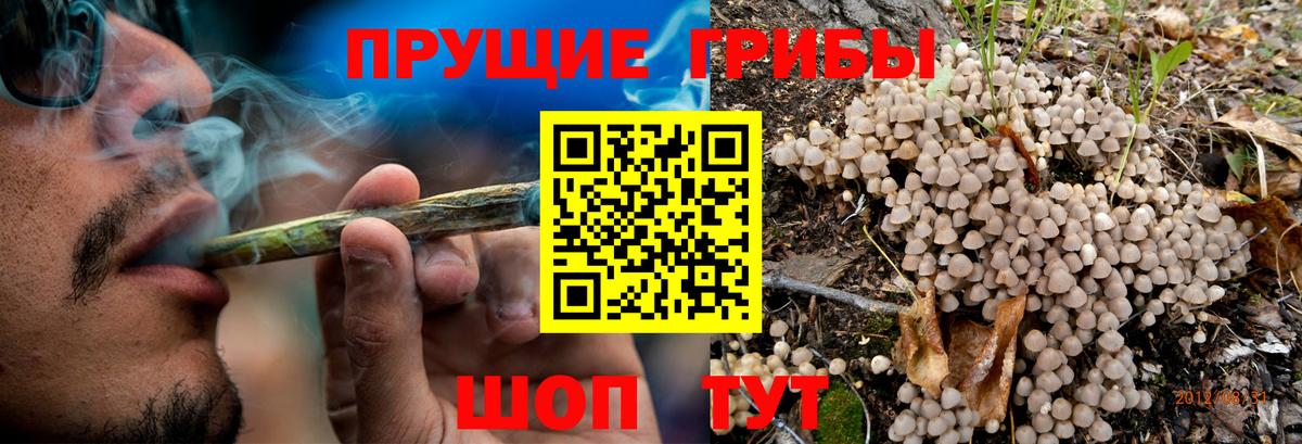 Гагарин  Псилоцибиновые грибы ЛСД  Вход с VPN 